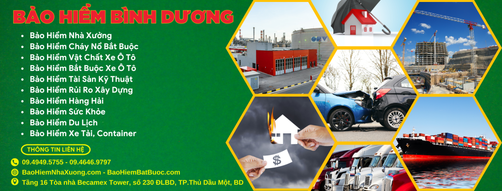 Bảo hiểm Bình Dương